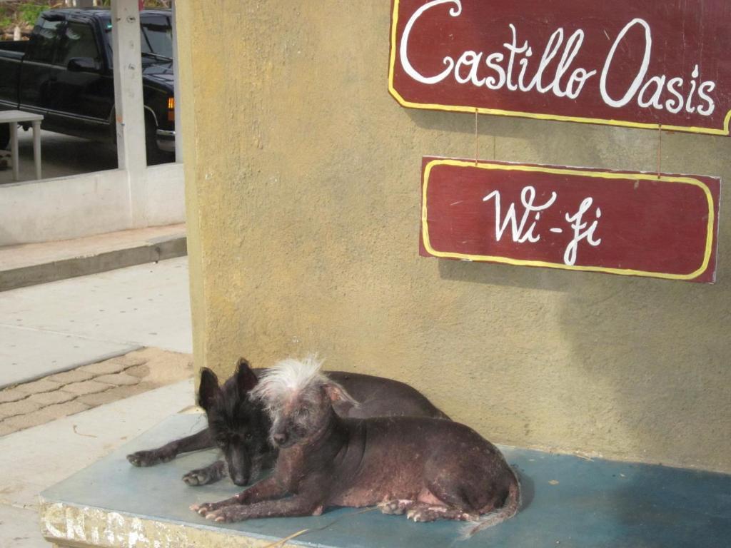 Castillo Oasis Zipolite Kültér fotó